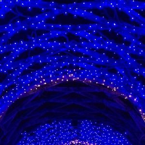 Meet your Posher, Carla